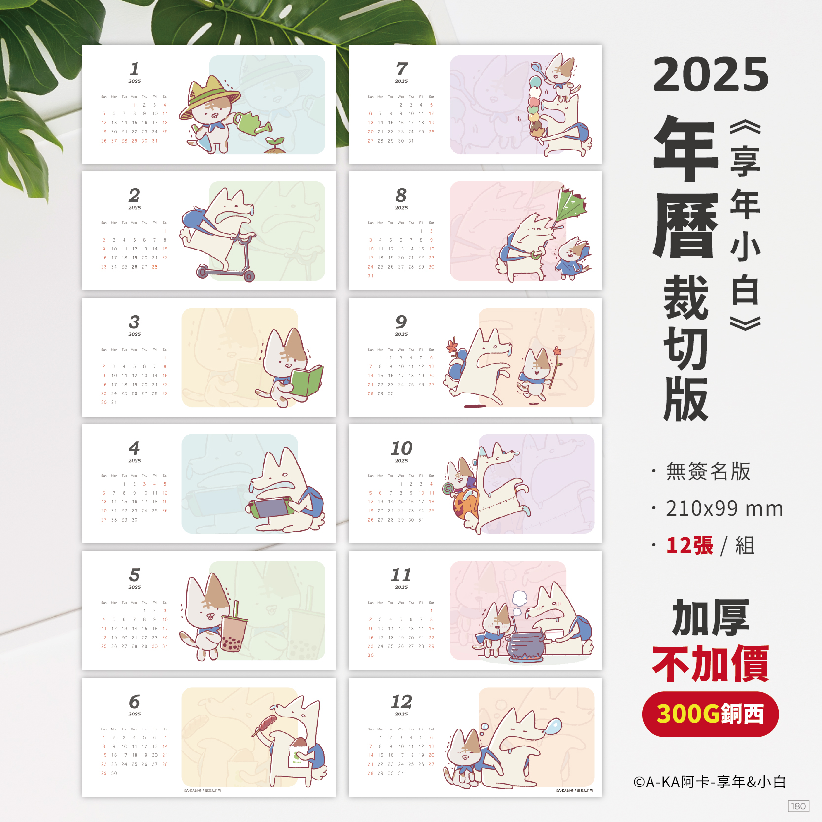 A-KA阿卡 享年小白2025年曆 裁切版