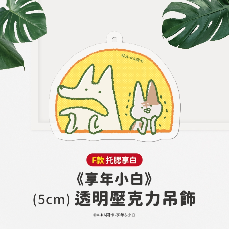 圖片3