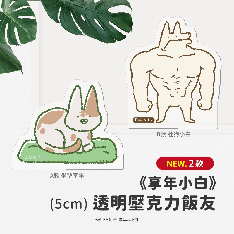 圖片1